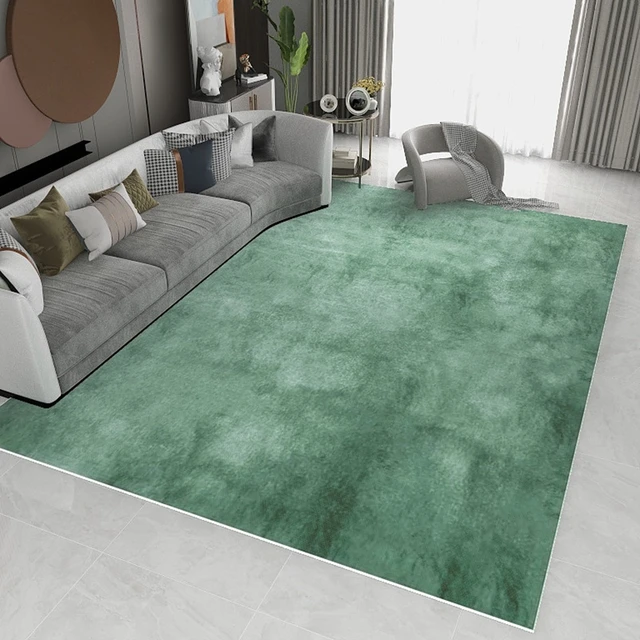 Rug Color for Your Living Room