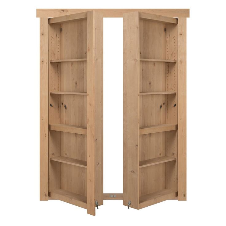 bookshelf door